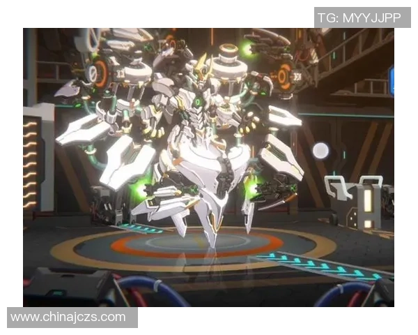 武汉篮球队的蜕变之路世界锦标赛背后的奋斗与荣耀